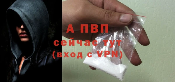 спиды Волосово