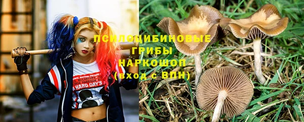 спиды Волосово