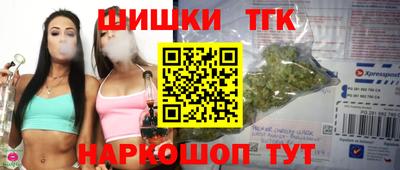дмт Можайск