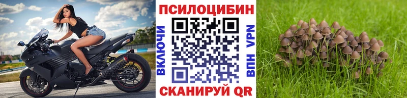 что такое наркотик  omg как зайти  Галлюциногенные грибы мицелий  Химки 